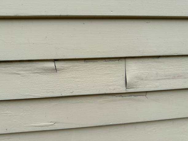 Trusted Lemont, IL Junk Removal Experts